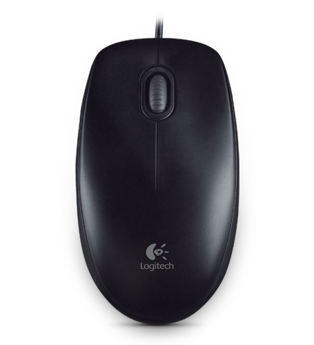 B100 Optical USB Mouse