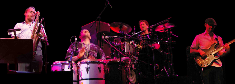 Groove Collective