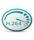 H.264 video standard