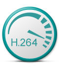 h.264 scale