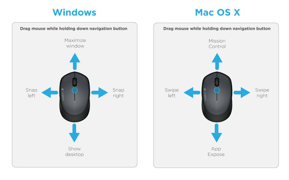 Software Software