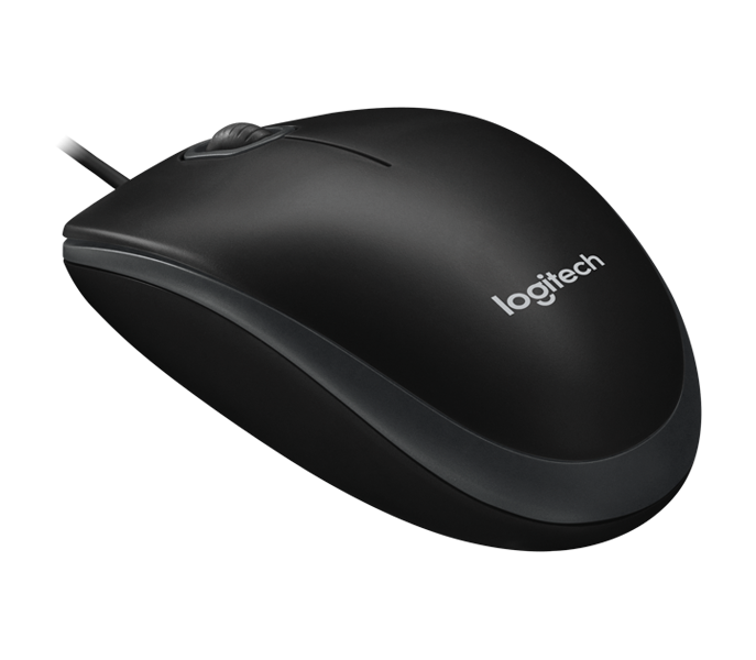 B100 Optical USB Mouse