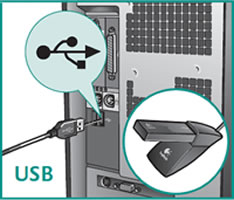plug in 1