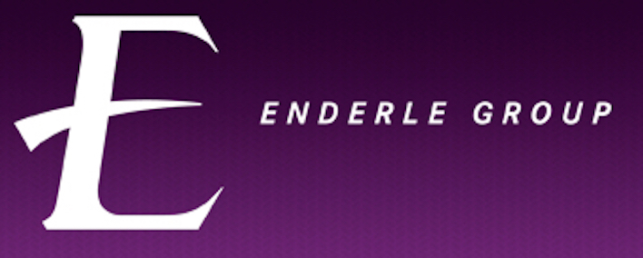 Enderle Group 로고