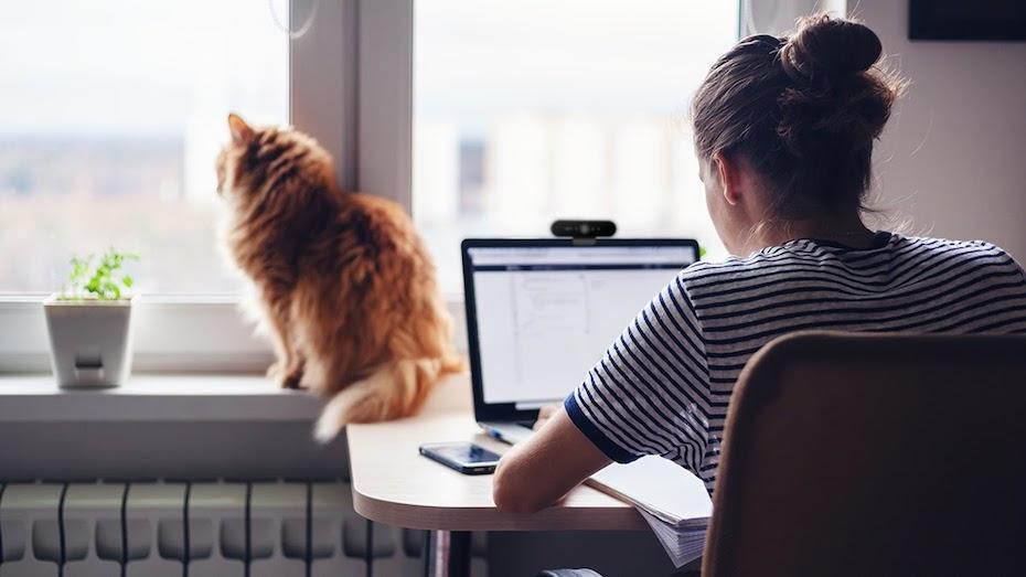 Femme travaillant avec un ordinateur portable équipé d'une caméra