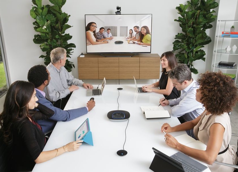 People in video conference meeting