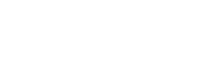 BMW Group logo